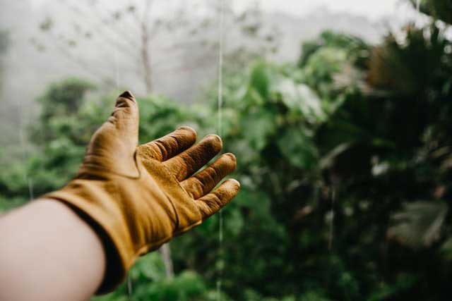 Green fingers - digging for success