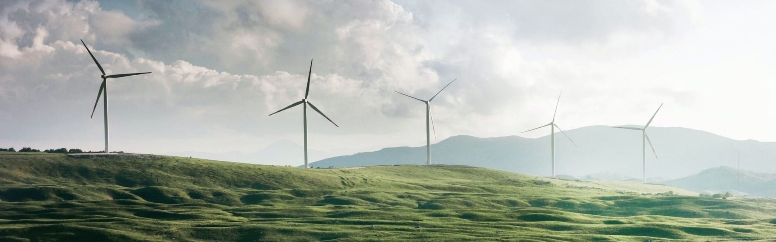 5 wind turbines in the countryside