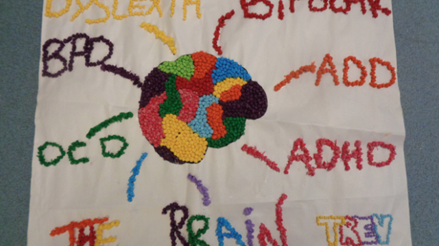 A hand-made poster using coloured pellets featuring the title "The Brain" and a drawing of the human brain with labels: dyslexia, BPD, bipolar, ADD, ADHD, and OCD. It is signed with the name "Trev".