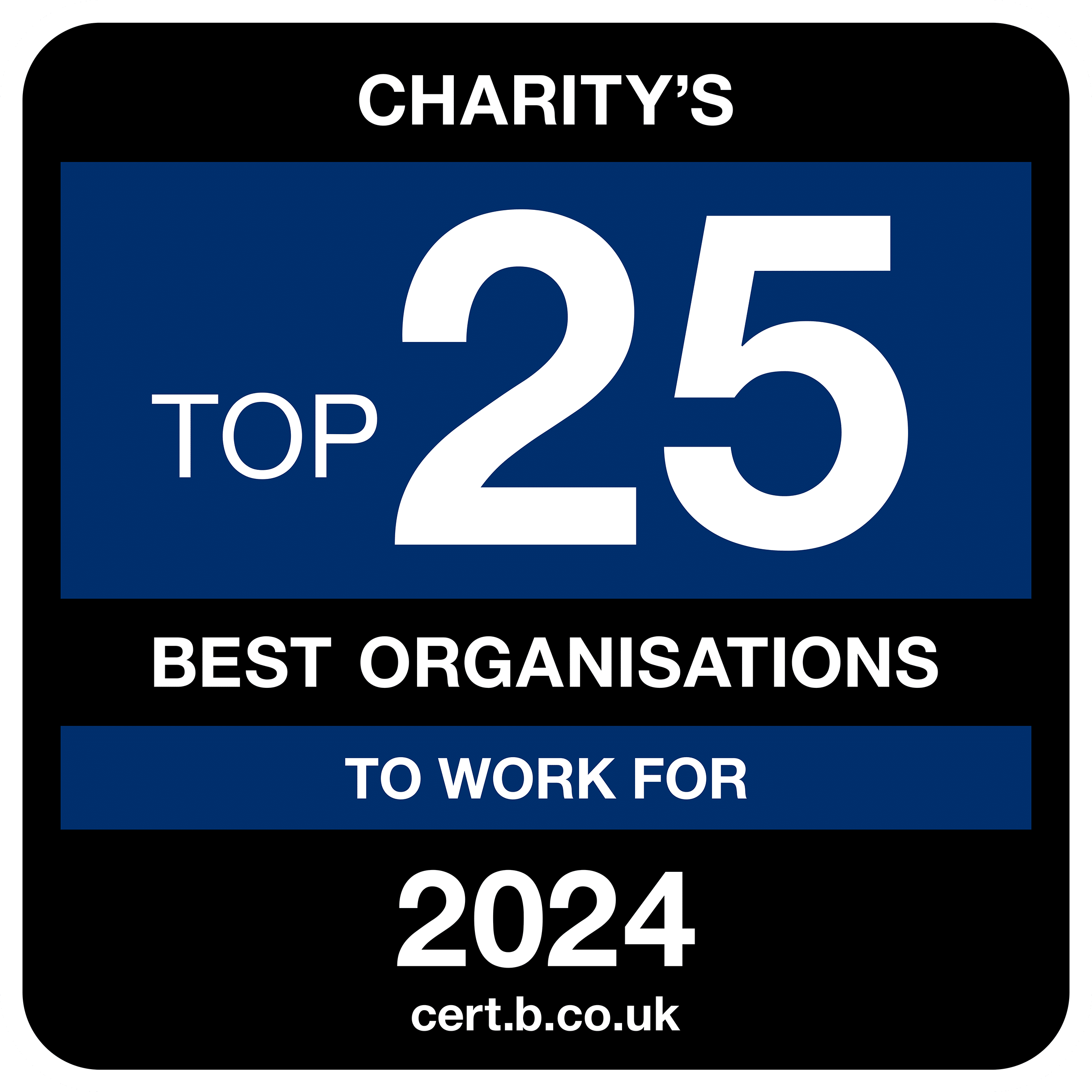 Black, white and blue infographics: Charities: Top 25 best organisations to work for 2024